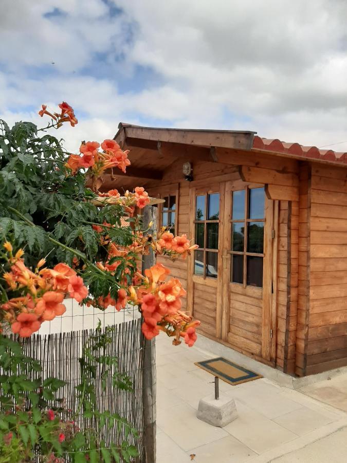 Hotel Quinta Do Pinheiro Grândola Exteriér fotografie